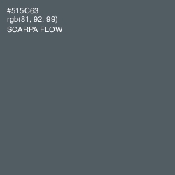 #515C63 - Scarpa Flow Color Image
